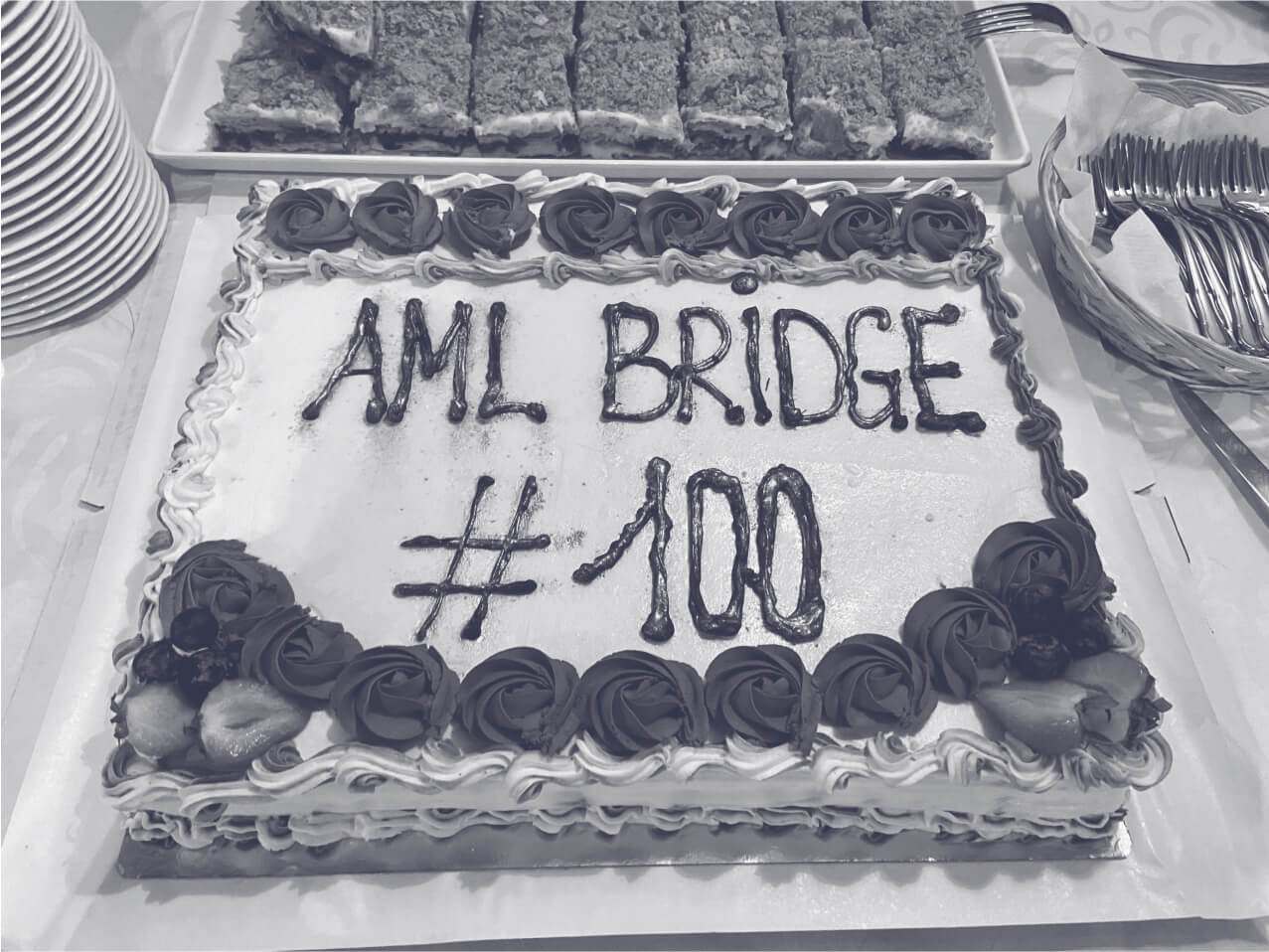 AML-Bridge-100-cake_slate.png